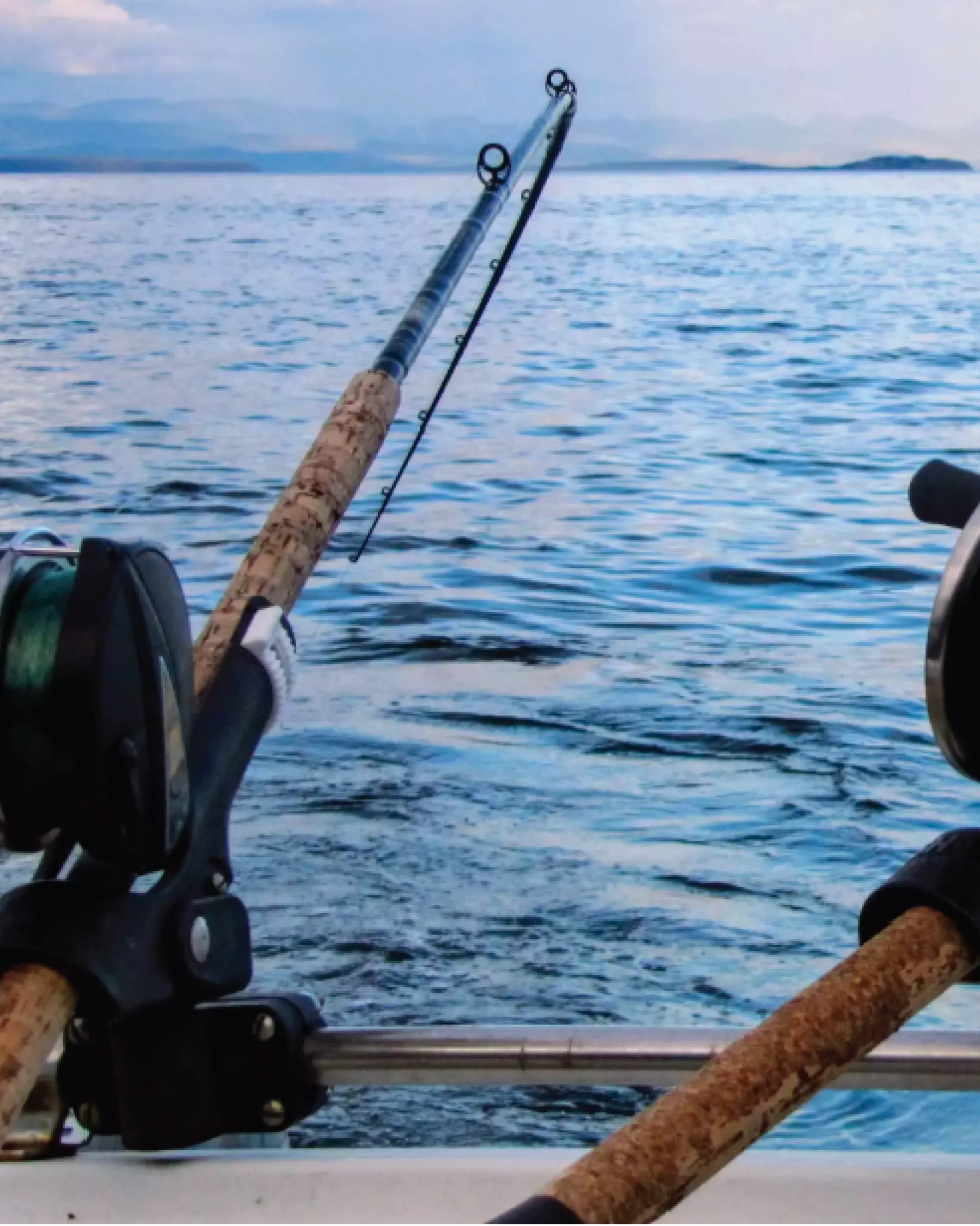Fishing rods mounted on a boat's rail, with open sea and the mountain range faint on the horizon