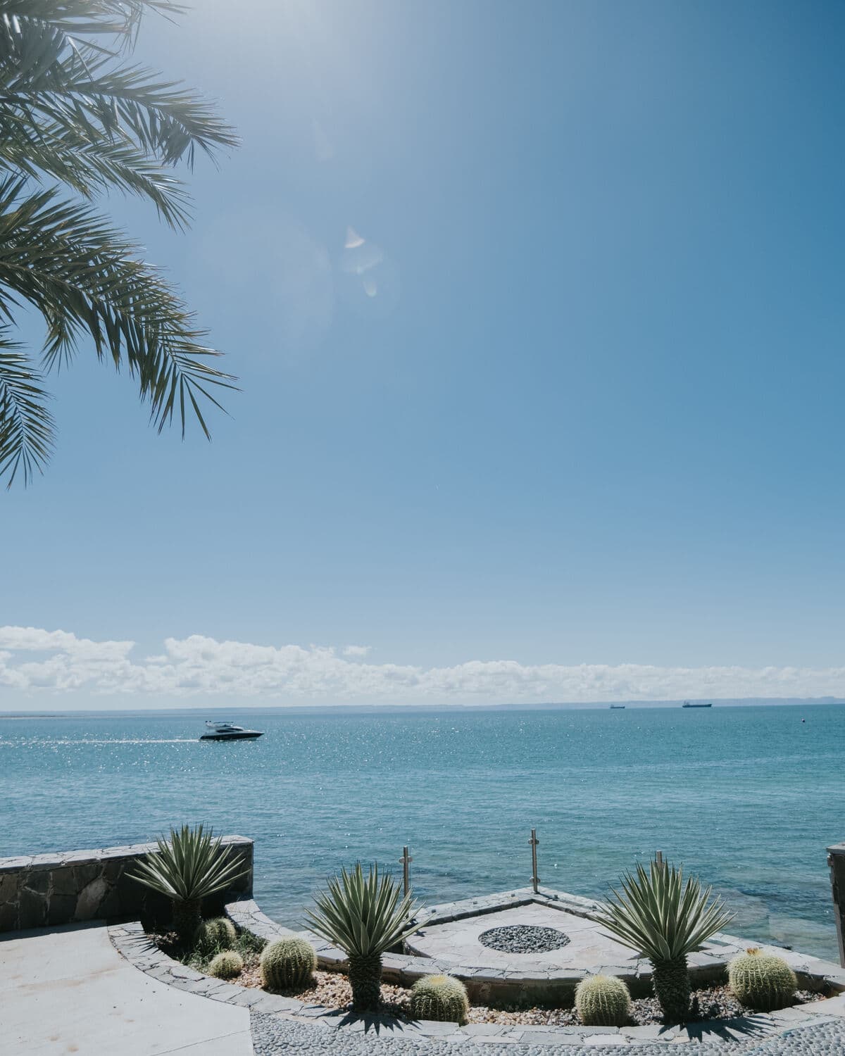 The Sea of Cortez from the Baja house, with a garden of agaves and cacti in the foreground
